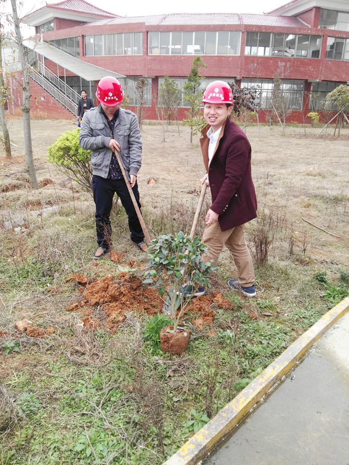 種一棵小樹，綠一方凈土